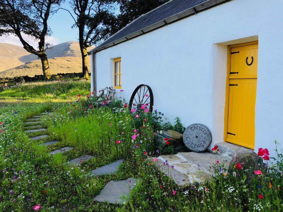 Thistle Thatch Cottage And Hot Tub - Mourne Mountains Newcastle  Bagian luar foto